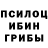 Галлюциногенные грибы Cubensis mihail dribas