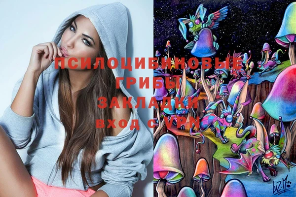 первитин Белокуриха