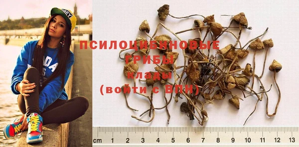 хмурый Белоозёрский